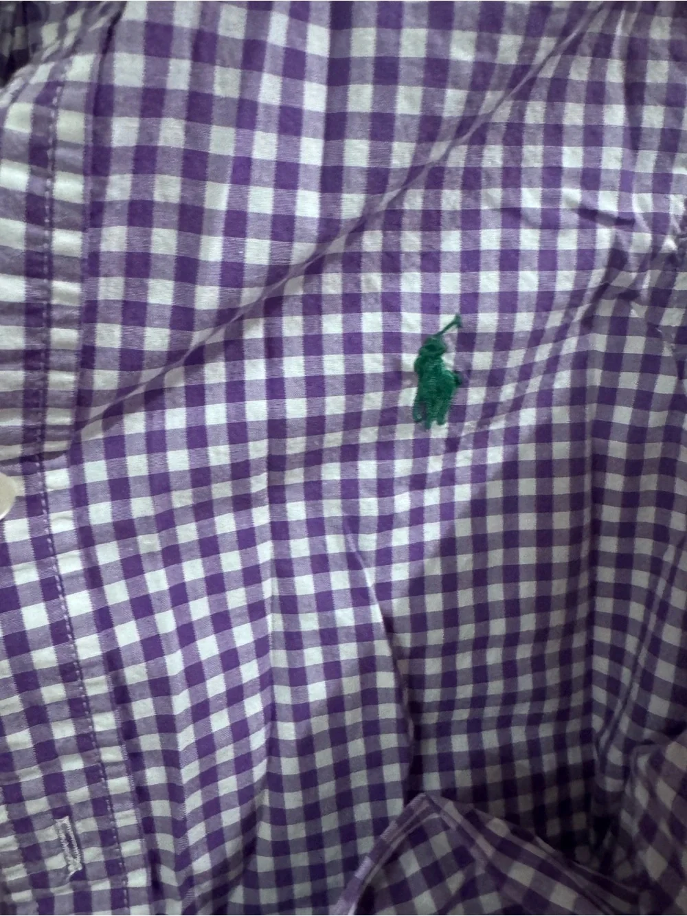 Ralph Lauren Purple & White Gingham Button-Down Shirt - Kids